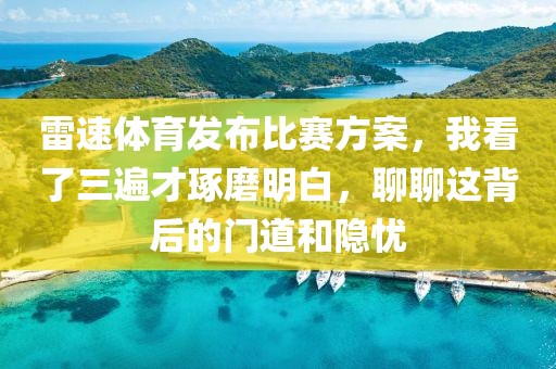 雷速体育发布比赛方案，我看了三遍才琢磨明白，聊聊这背后的门道和隐忧
