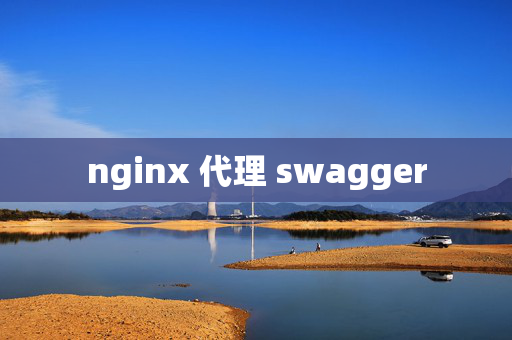 nginx 代理 swagger